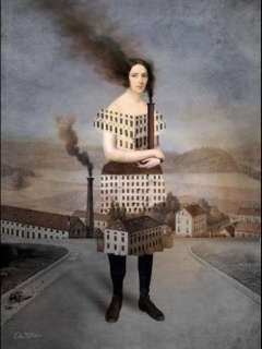 Η ομορφιά εμφανίζεται. Φευγαλέα.  Κρύβεται στα μικρά, τ’ασήμαντα που ξαφνικά αποκτούν σημασία.